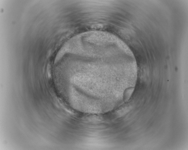 X0000088630962200706151913