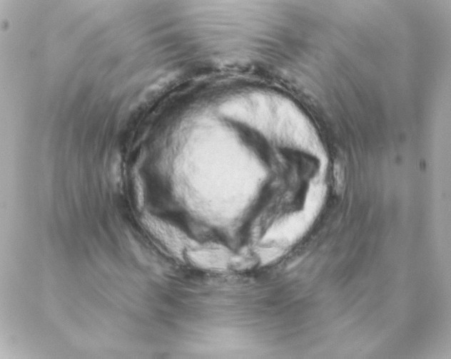 X0000088630963200706151913