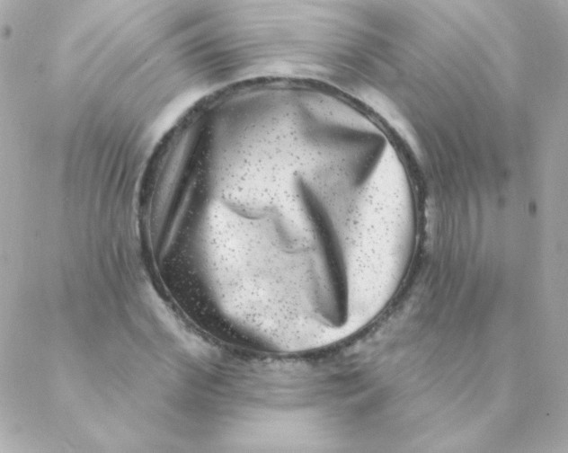 X0000088630972200706151913