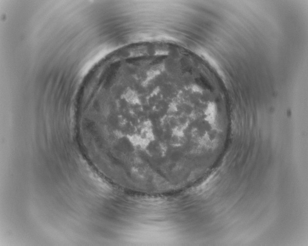 X0000088630975200706151913