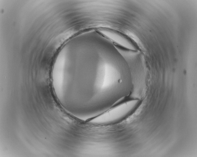 X0000088630977200706151913