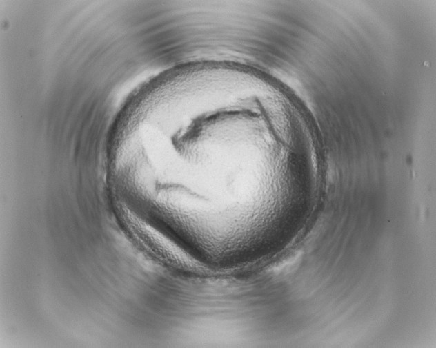 X0000088630979200706151913