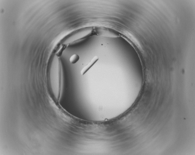 X0000088630980200706151913