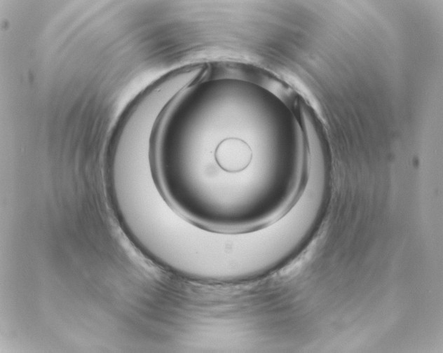 X0000088630981200706151913
