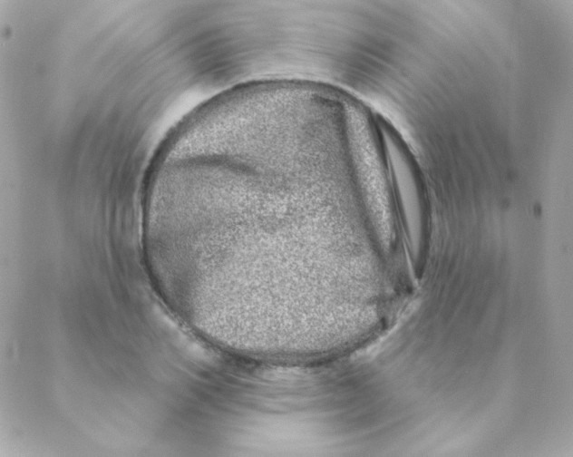 X0000088630982200706151913