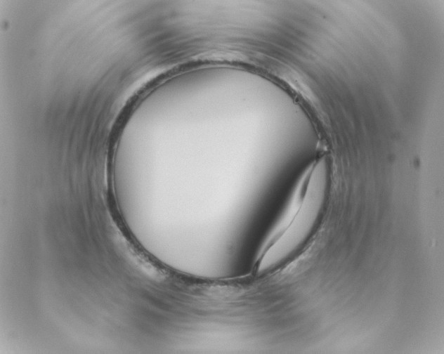 X0000088630984200706151913
