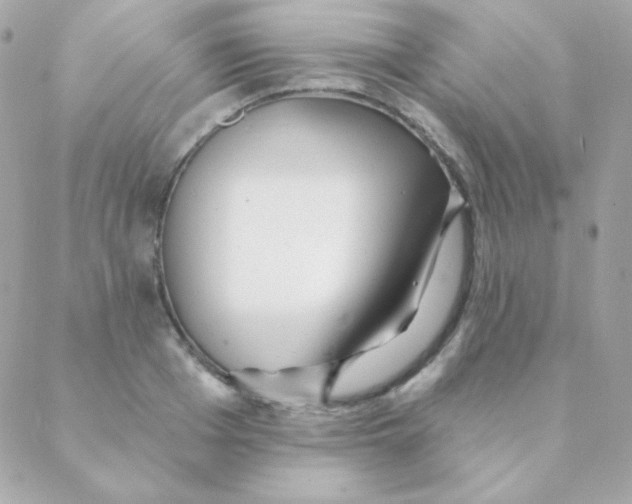 X0000088630985200706151913