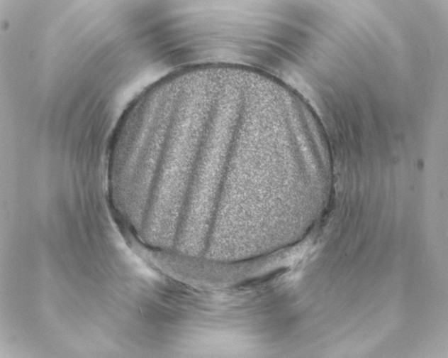 X0000088630987200706151913