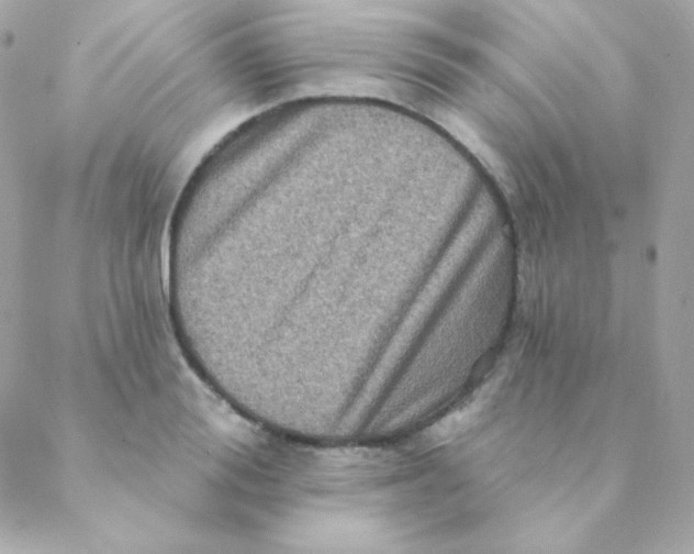 X0000088630988200706151913