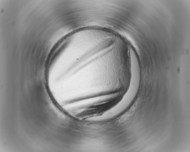 X0000088630991200706151913