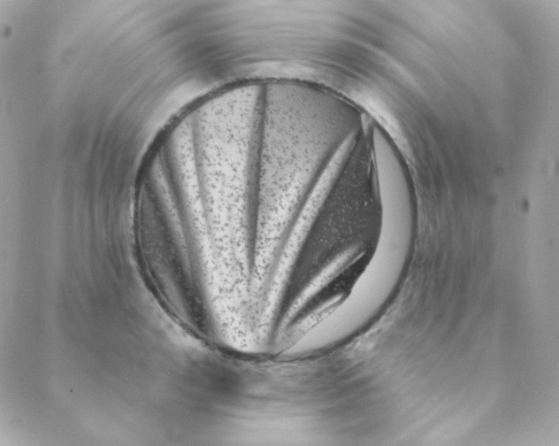 X0000088630992200706151913