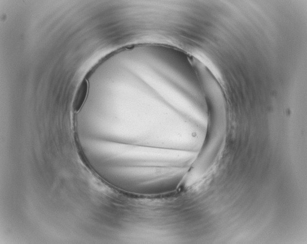 X0000088630996200706151913