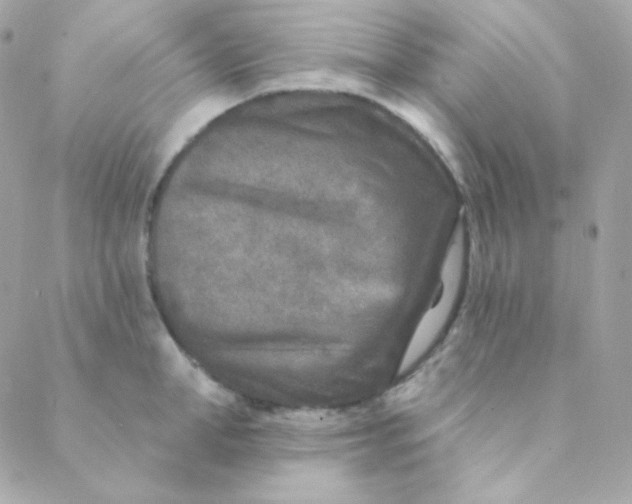 X0000088630998200706151912