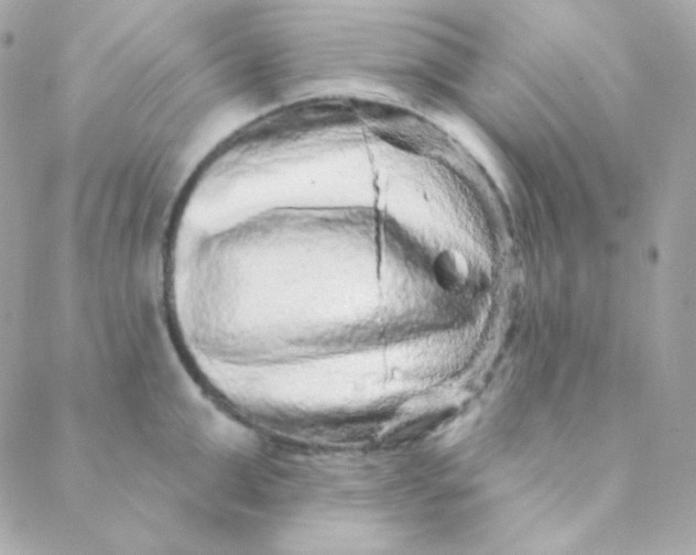 X0000088630999200706151912