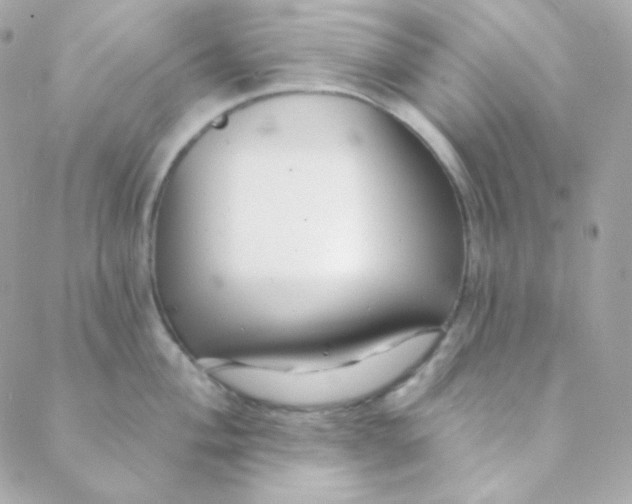 X0000088631004200706151912