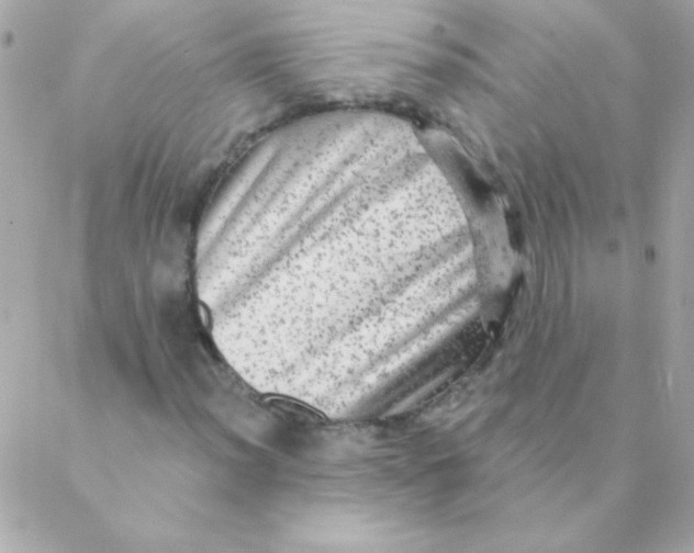X0000088631012200706151912