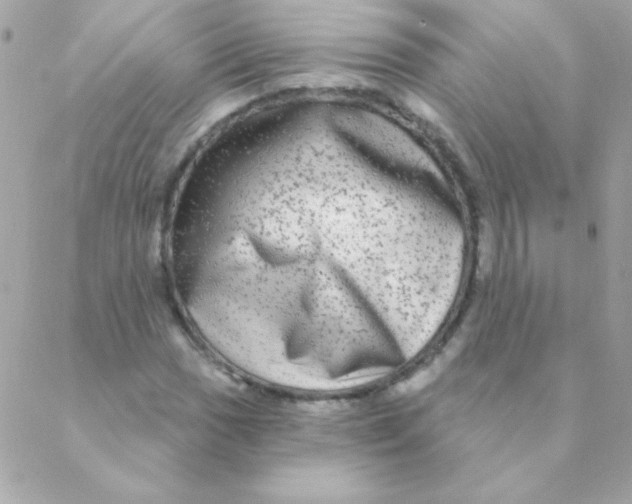 X0000088631017200706151912