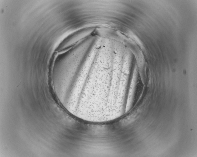 X0000088631020200706151912