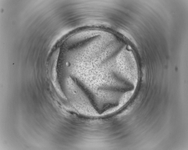 X0000088631021200706151912