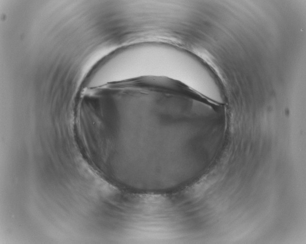 X0000088631024200706151912