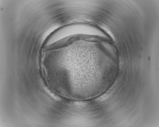 X0000088631026200706151912