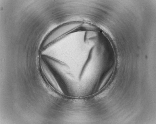 X0000088631029200706151912