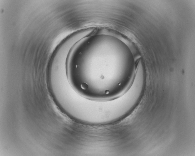 X0000088631030200706151912
