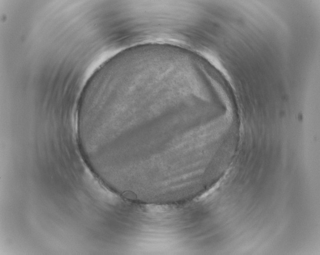 X0000088631032200706151912