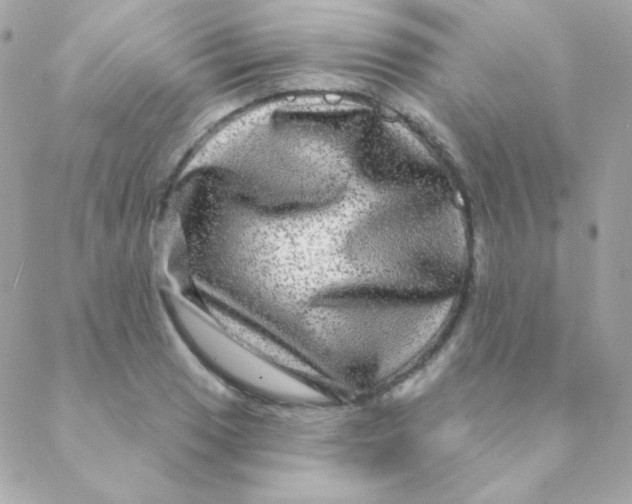 X0000088631033200706151912