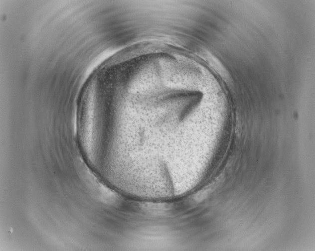 X0000088631036200706151912