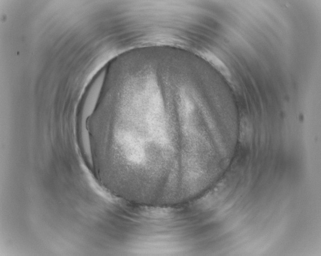 X0000088631039200706151912