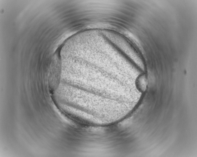 X0000088631041200706151912