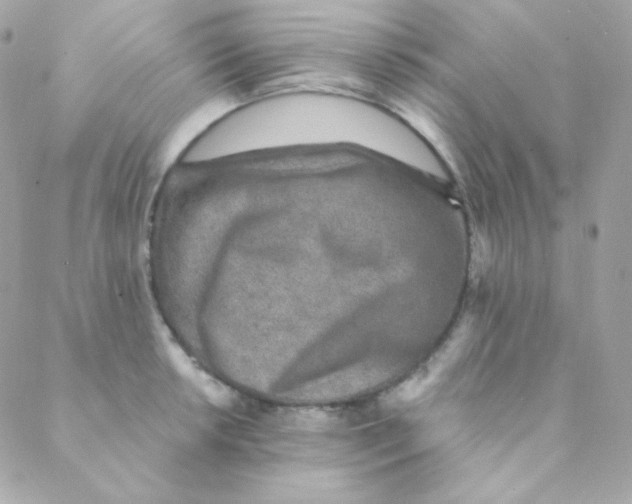 X0000088631042200706151912