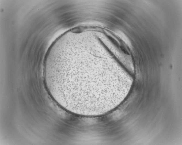 X0000088631044200706151912