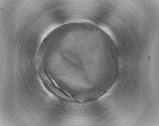 X0000088631046200706151912