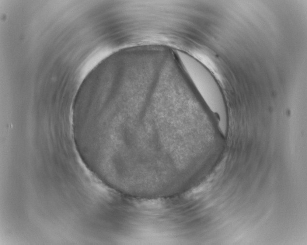 X0000088631047200706151912