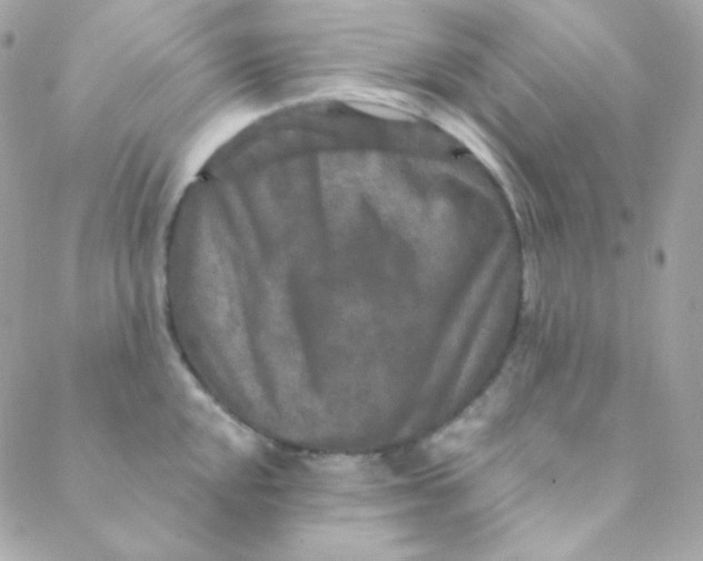X0000088631048200706151912