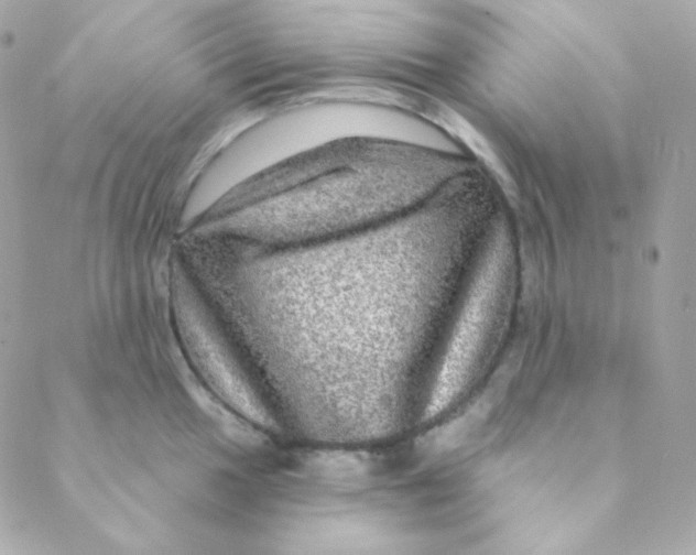 X0000088631049200706151912