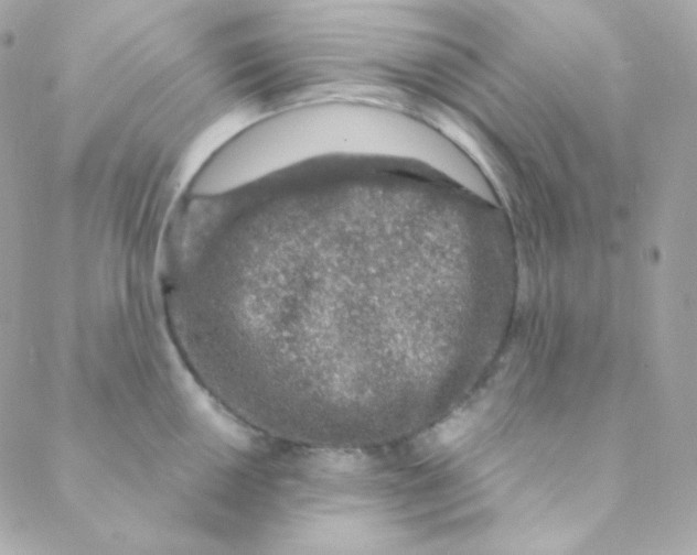 X0000088631050200706151912