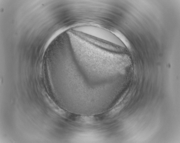 X0000088631052200706151912