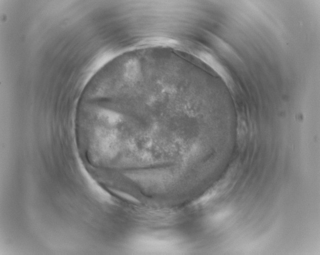 X0000088631055200706151912