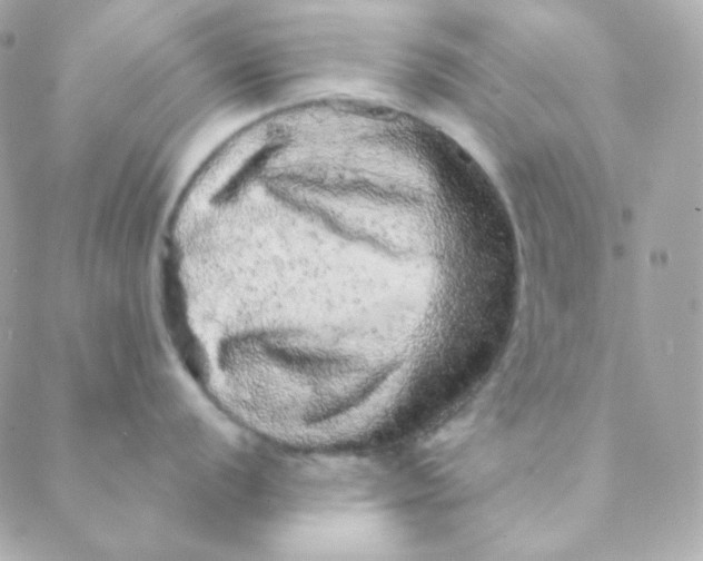 X0000088631056200706151912