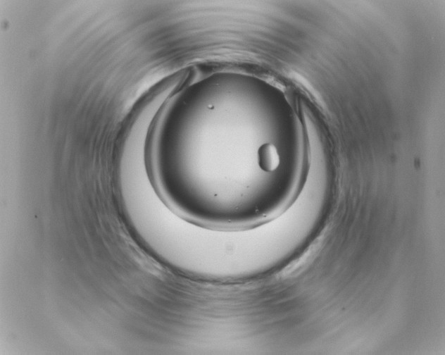 X0000088631065200706151911
