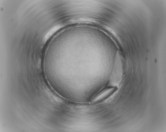 X0000088631066200706151911