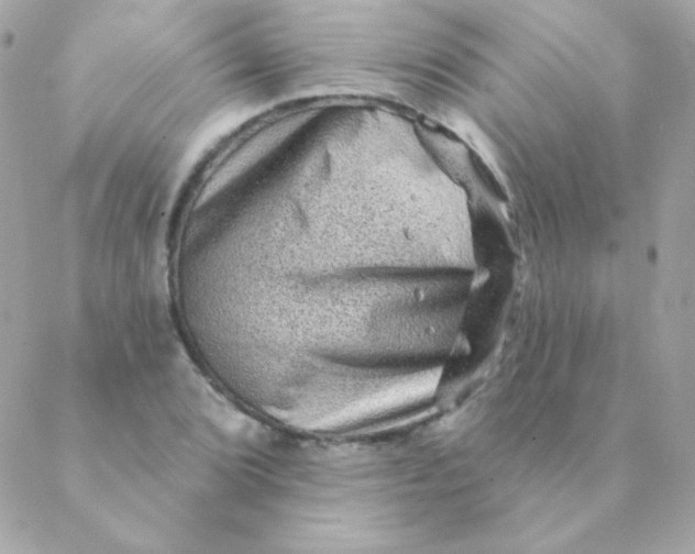 X0000088631072200706151911