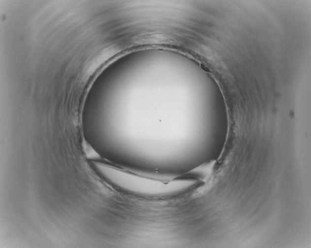 X0000088631073200706151911