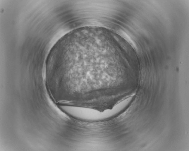 X0000088631084200706151911