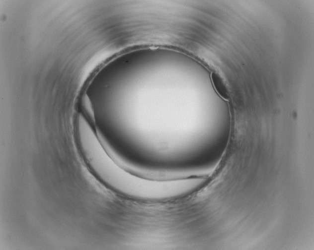 X0000088631085200706151911