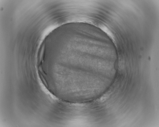 X0000088631088200706151911