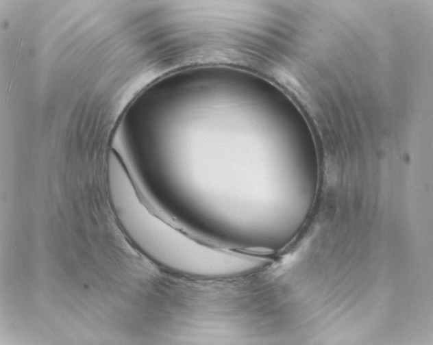 X0000088631089200706151911